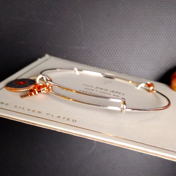 Fine Silver Plated Dream Charm adjustable bracelet - Picture 5 of 7